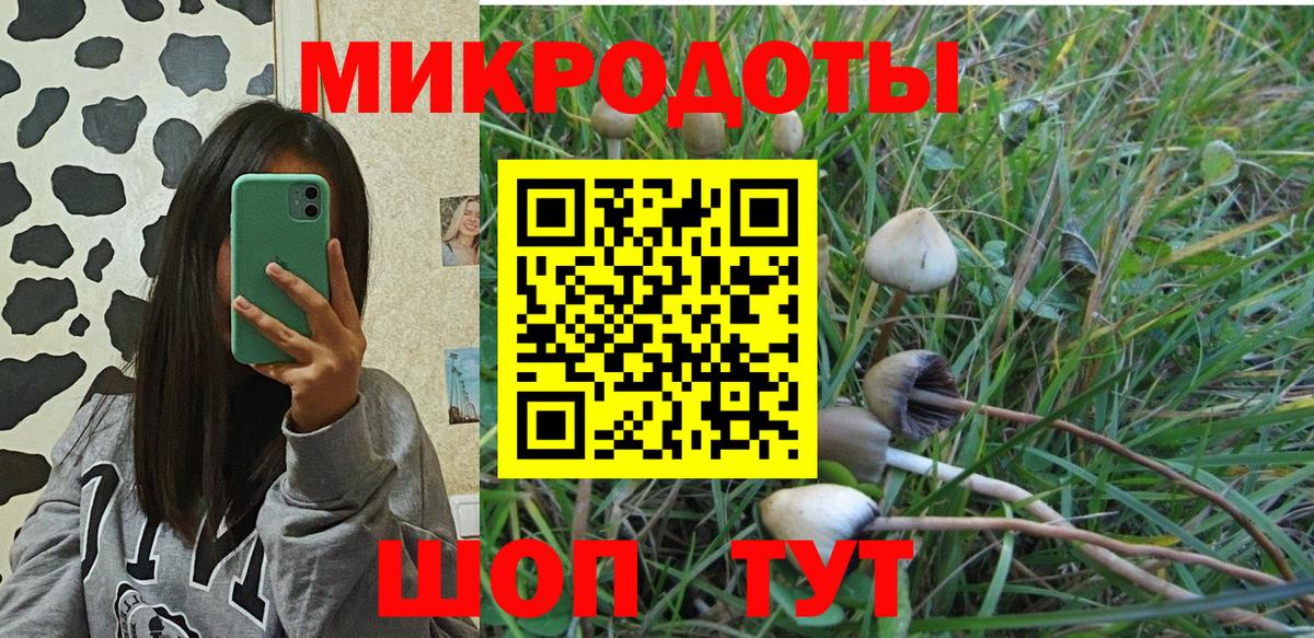 Псилоцибиновые грибы мицелий Октябрьский
